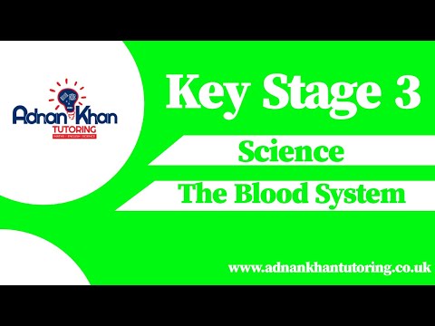 Key Stage 3 Science - The Blood System
