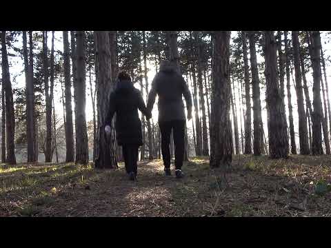 Andreas Vollenweider – Behind The Gardens - Behind The Wall - Under The Tree