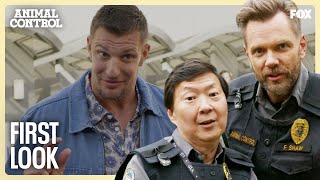 show video image in three sizes