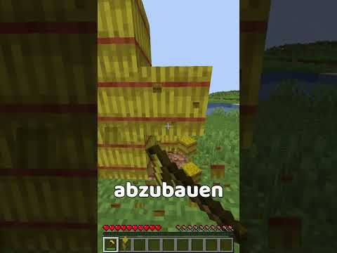 Die einfachste Beginner XP Farm in Minecraft!