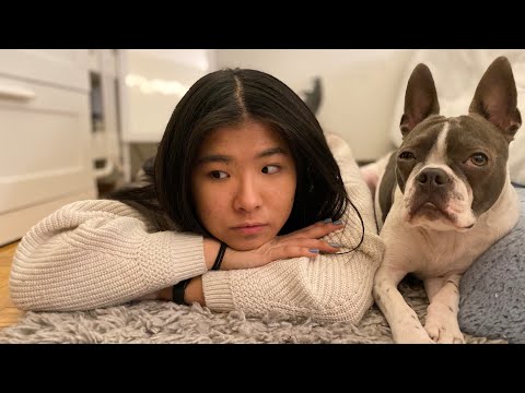 How I Got Over My Fear of Dogs