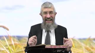 מסכת מנחות דף עב - 8 דקות של לומדות ועמקות בדרך הלימוד הישיבתית [Menachot 72]