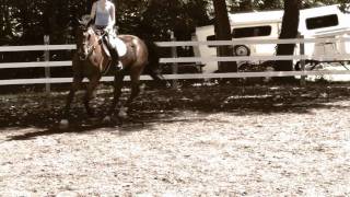 ||ɑʟʟ tʜɛ øtʜɛʀ ƙɪɗs||