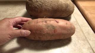 WHAT'S THE DIFFERENCE BETWEEN SWEET POTATO AND A TRUE YAM?