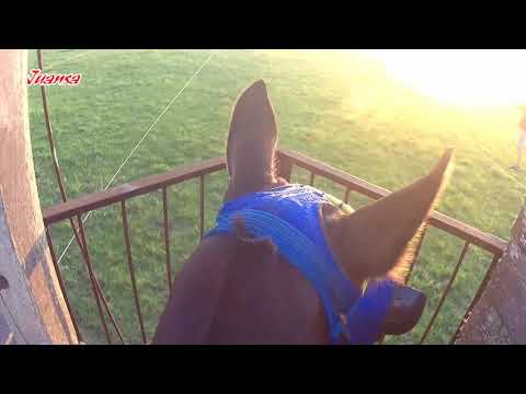 Cuchilla Del Ombú 18-10-20