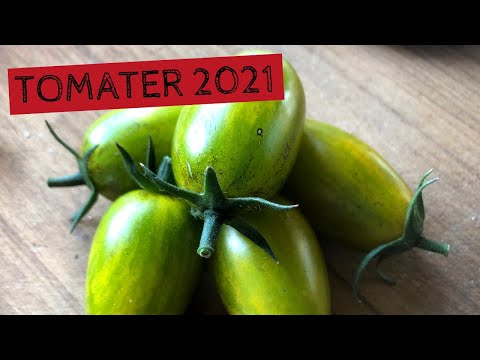 TOMATER - Vilka sorter ska jag odla i år och hur ska jag odla dem?