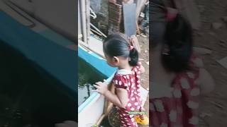 Download lagu Melihat Ikan Mujair Kumpay Lucu Viral Di Pagi Hari #anakanak #viralvideo #shorts mp3