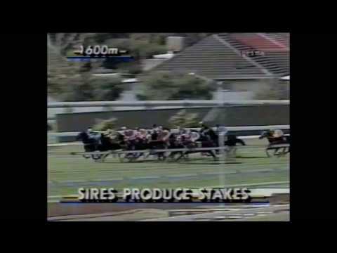 1992 SAJC Sires' Produce Stakes