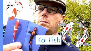 KOI FISH: Back To Basics - My stories about keeping Koi Carp ponds