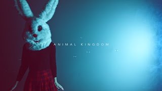 CHAOS EMERALDS - ANIMAL KINGDOM (official video)