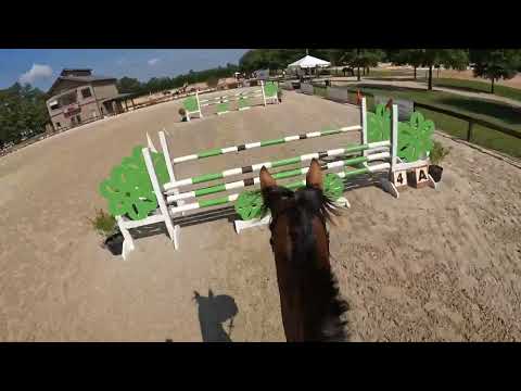 Darcy & Oy - August '23 War Horse Show Jump GoPro