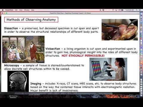 Human Physiology - Chapter 1, Part 1 - Physiology vs. Anatomy