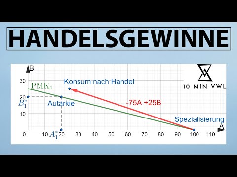 Opportunitätskosten, komparativer Vorteil, Produktionsmöglichkeitenkurve und Handelsgewinne: Ricardo