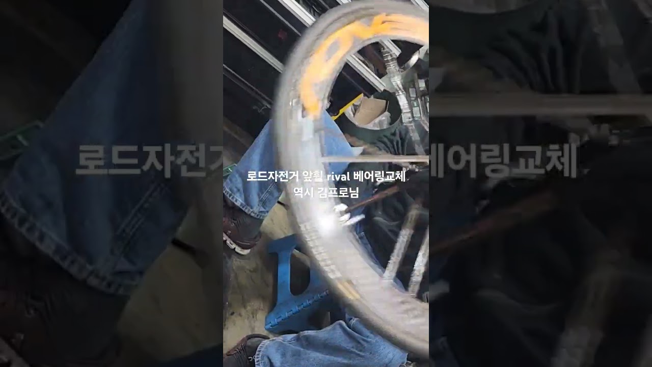 일상속 자전거 - 아빠와 아이들DK