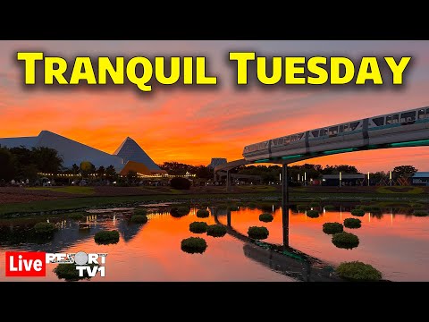 🔴Live: Tranquil Tuesday at Epcot - A Relaxing Evening at Walt Disney World - 4-2-24