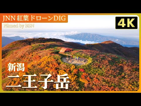 【４K】紅葉のパノラマ 二王子岳 【JNN 紅葉ドローンDIG 2024】｜TBS NEWS DIG