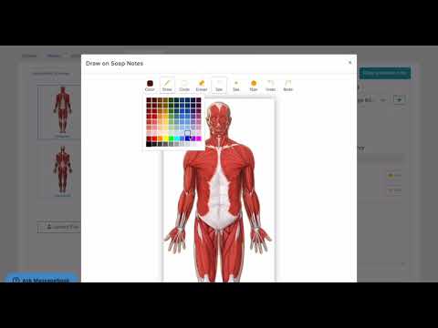 Massage Therapist SOAP Notes Notebook: SOAP Note-Taking Forms for Massage Therapists | Massage Therapy Client Session Journal Log Book | 100 Pages video review thumbnail