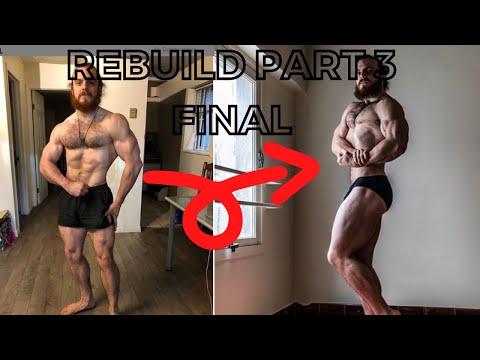 REBUILD part 3 FINAL (how to properly get back into the gym, manage diet, exercises selection,...)