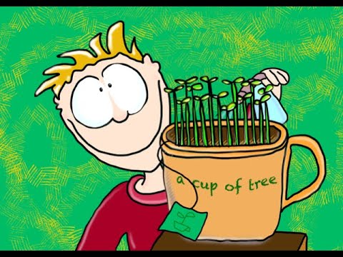 A Cup of Tree concept 2024