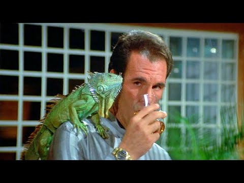 Licence to Kill - Teaser & Trivia🌴