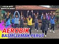 AEROBIK BASMI LEMAK PERUT GELAMBIR COCOK UNTUK PEMULA