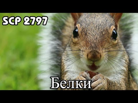 SCP-2797: Белки (Español Latino)