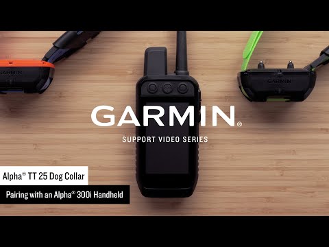 Garmin Support | Alpha® TT 25 Dog Collar | Pairing with an Alpha® 300i