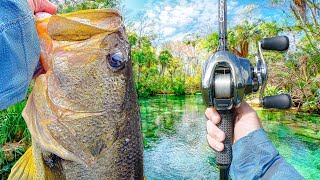 Fishing A HIDDEN Lagoon For MONSTER Bass (Multiple GIANTS)