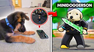 I taught MY DOG how to play Roblox Mp4 3GP & Mp3