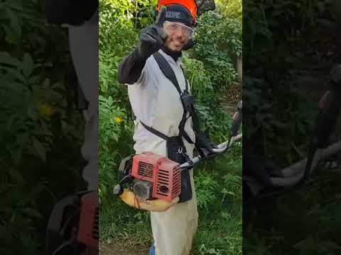 Mais de 10 anos de experiência com máquina #roçadeira #Toyama tbc43x  muito boa