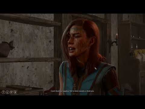 Solo Honour Mode - Paladins of Tyr - Lae'zel - Baldur's Gate 3