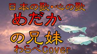 Download lagu ♪ 'Medaka no Kyodai' (The Medaka Siblings) Japanese Songs, Songs of the Heart - Japanese Songs ol... mp3 Download lagu ♪ 'Medaka no Kyodai' (The Medaka Siblings) Japanese Songs, Songs of the Heart - Japanese Songs ol... mp3