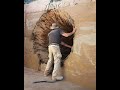 Fastest and Most Skillful Workers Ever ▶7