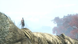 【初見プレイ】0.5％くらい理解した俺が進めるＳＥＫＩＲＯ