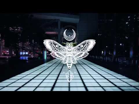 Eva Shaw vs ZIGGY & Manene - Tarantula vs. Moxie (BACKJUMP Mashup)