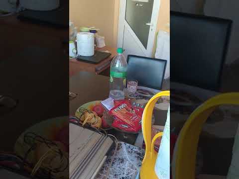 Boschmann SW 124 Shaking soda bottle