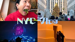 とある週末のVlog in NY