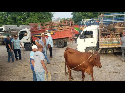Santa Rosa de Lima, La Unión, El Salvador, sábado 18 de julio 2026.