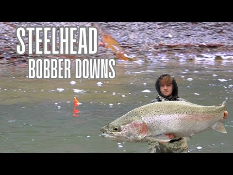 STEELHEAD Fishing non-stop BOBBER DOWNS
