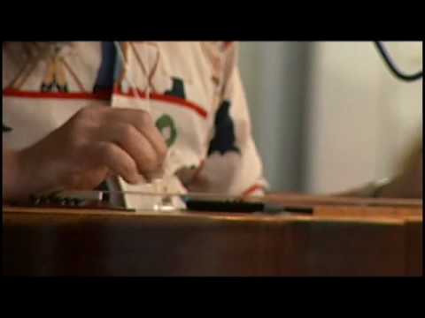 Her Mind Is Gone (LIVE) ... David Lindley and Bill Frisell HQ