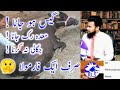 Afara Rog Gas In Animal Treatment Of Aphara Qabaz Gass In Cows Buffalo Goat Sheep Dairy Animal