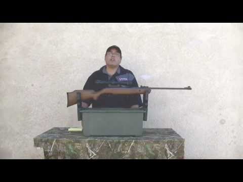 Remington Vantage 1200, .177 sub $150.. does it deliver?  Watch the video and find out!