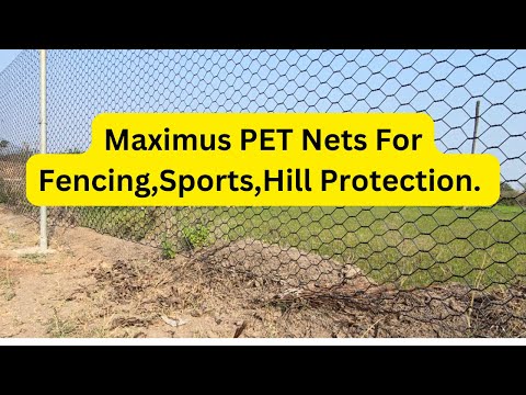 Maximus PET Nets