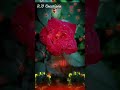 Nine Modalu Nine Kone Kannada WhatsApp Status