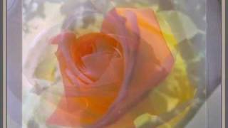 LeAnn Rimes - Some Say Love - The Rose
