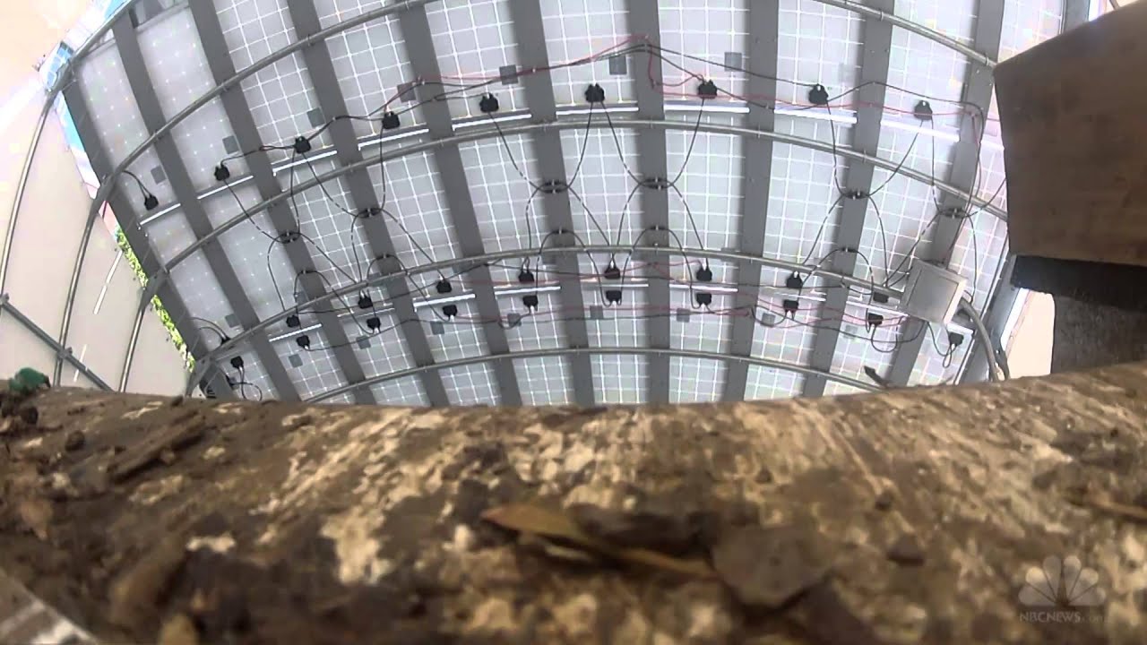 Video facade placeholder