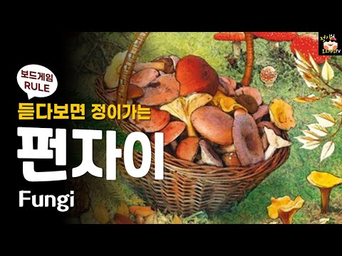 펀자이 보드게임 룰 설명