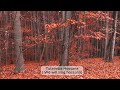 Tukifika Mbinguni Tutaimba Hosanna