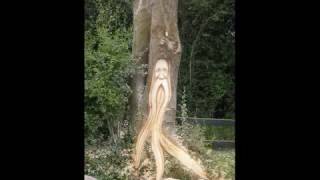 Chainsaw Wood Spirit by Fear na Coillte