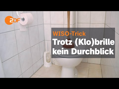 Verstopfte Toilette beim Lockvogel - Halten die Handwerker ihre Versprechen? | ZDF | WISO